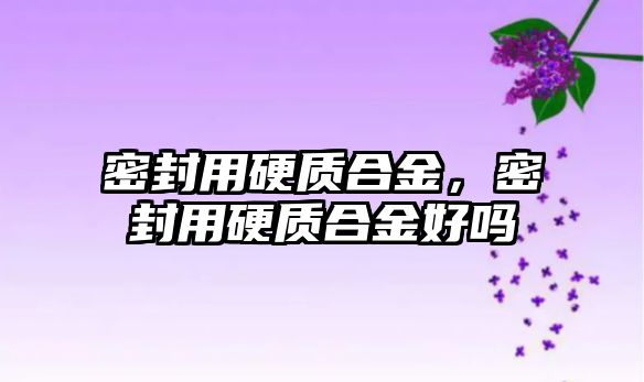 密封用硬質(zhì)合金，密封用硬質(zhì)合金好嗎