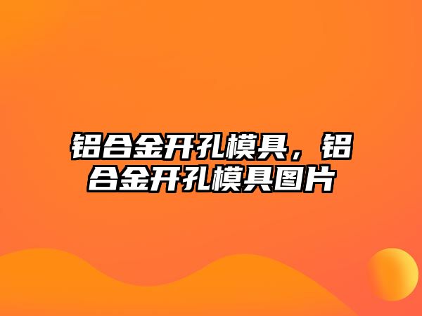 鋁合金開孔模具，鋁合金開孔模具圖片