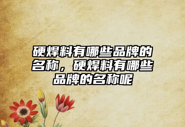 硬焊料有哪些品牌的名稱，硬焊料有哪些品牌的名稱呢