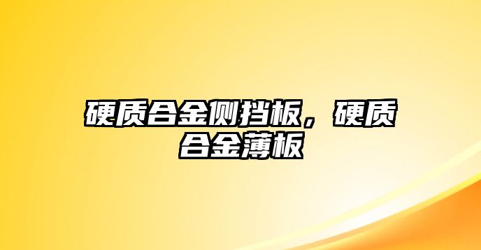 硬質(zhì)合金側(cè)擋板，硬質(zhì)合金薄板