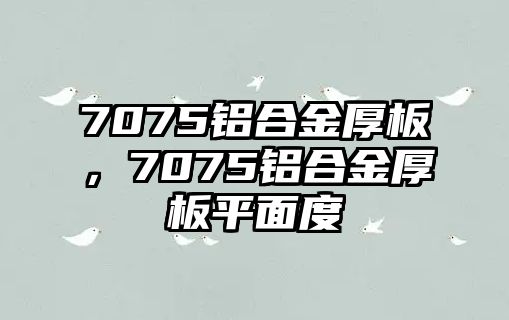 7075鋁合金厚板，7075鋁合金厚板平面度