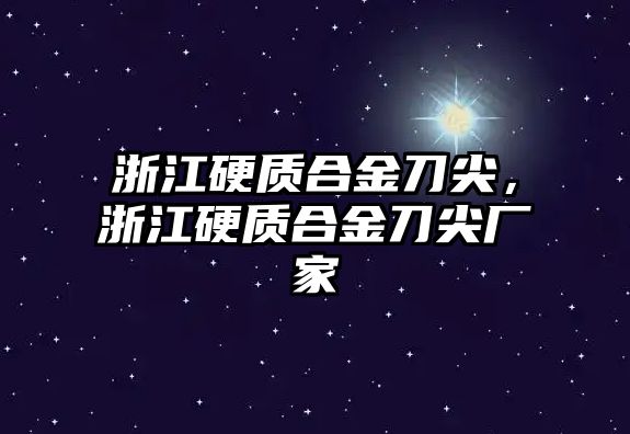 浙江硬質合金刀尖，浙江硬質合金刀尖廠家