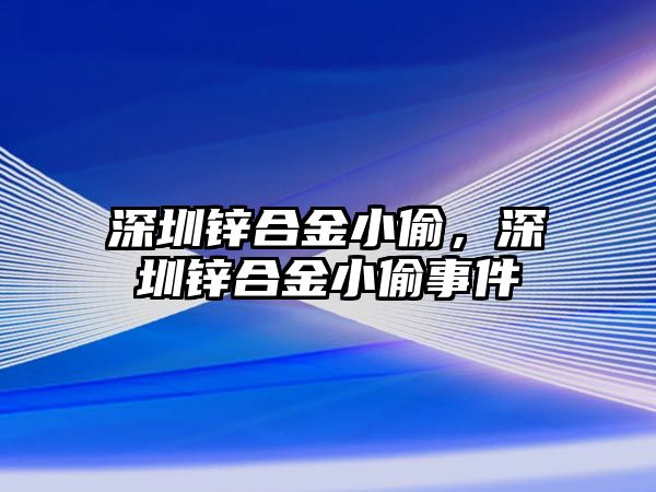 深圳鋅合金小偷，深圳鋅合金小偷事件