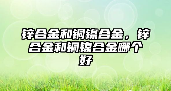 鋅合金和銅鎳合金，鋅合金和銅鎳合金哪個好