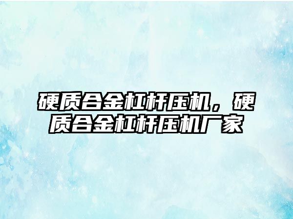 硬質合金杠桿壓機，硬質合金杠桿壓機廠家