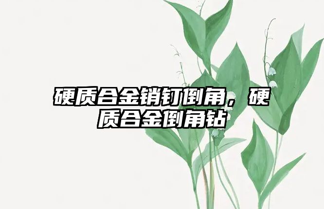 硬質(zhì)合金銷釘?shù)菇?，硬質(zhì)合金倒角鉆