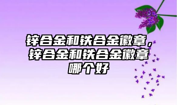 鋅合金和鐵合金徽章，鋅合金和鐵合金徽章哪個(gè)好