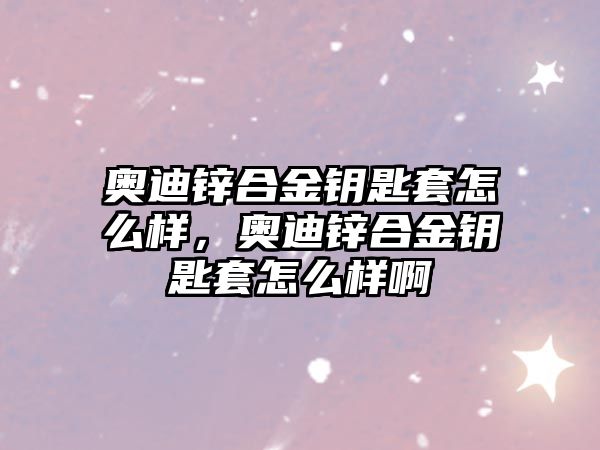 奧迪鋅合金鑰匙套怎么樣，奧迪鋅合金鑰匙套怎么樣啊