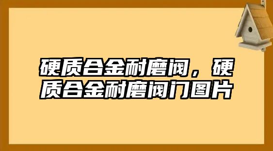 硬質(zhì)合金耐磨閥，硬質(zhì)合金耐磨閥門圖片