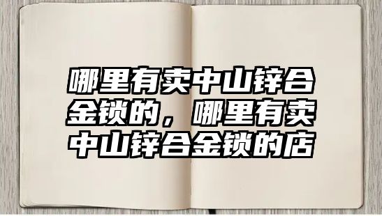 哪里有賣中山鋅合金鎖的，哪里有賣中山鋅合金鎖的店