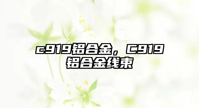 c919鋁合金，C919鋁合金線束