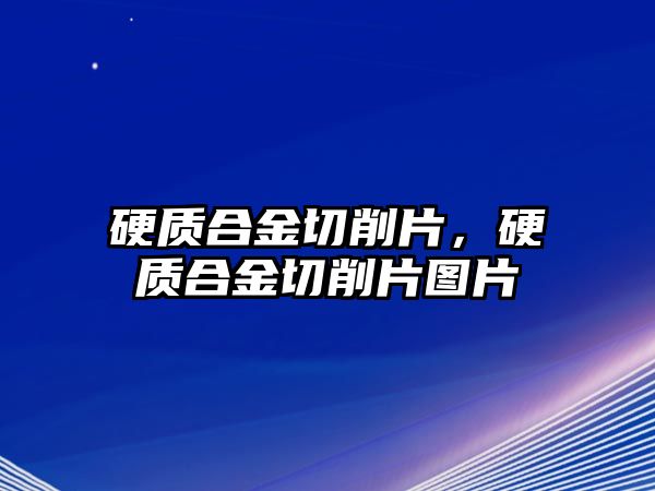 硬質(zhì)合金切削片，硬質(zhì)合金切削片圖片