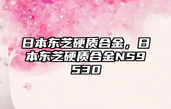 日本東芝硬質(zhì)合金，日本東芝硬質(zhì)合金NS9530