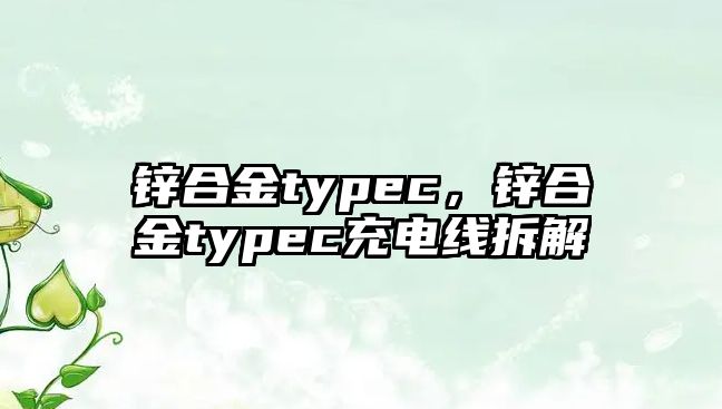 鋅合金typec，鋅合金typec充電線拆解