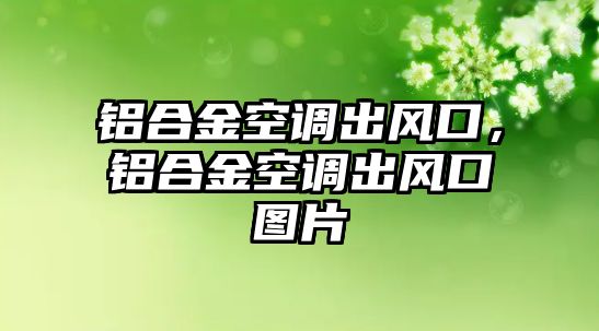 鋁合金空調(diào)出風(fēng)口，鋁合金空調(diào)出風(fēng)口圖片