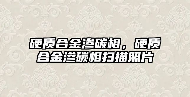 硬質合金滲碳相，硬質合金滲碳相掃描照片