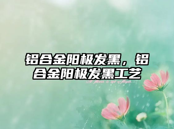 鋁合金陽極發(fā)黑，鋁合金陽極發(fā)黑工藝