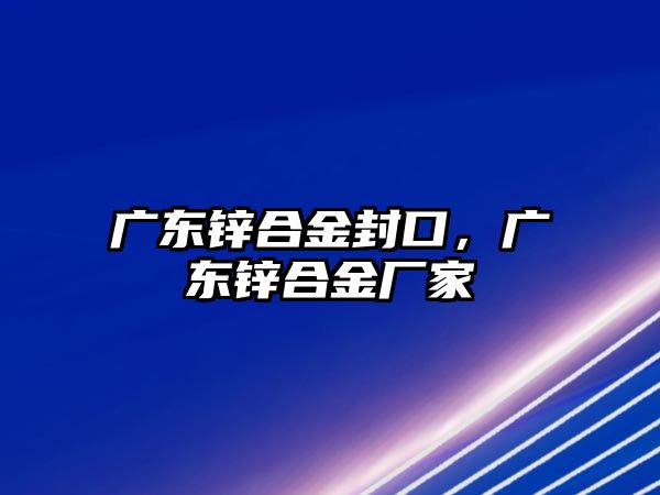 廣東鋅合金封口，廣東鋅合金廠家