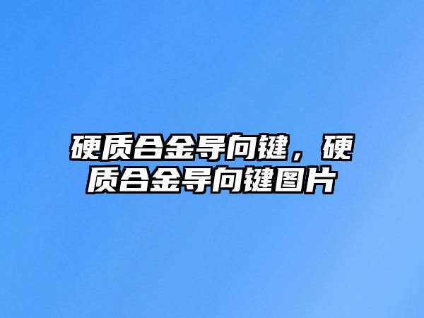 硬質(zhì)合金導(dǎo)向鍵，硬質(zhì)合金導(dǎo)向鍵圖片