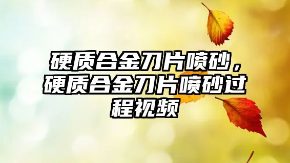 硬質合金刀片噴砂，硬質合金刀片噴砂過程視頻