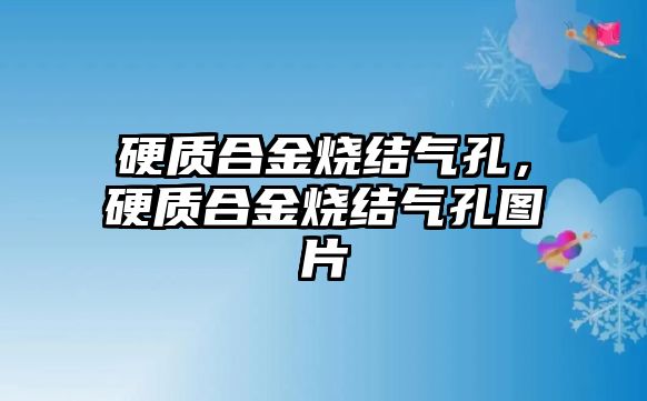 硬質(zhì)合金燒結氣孔，硬質(zhì)合金燒結氣孔圖片