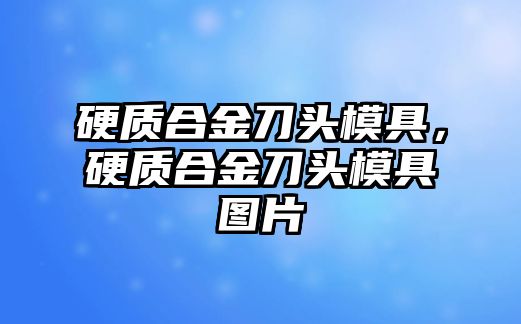 硬質(zhì)合金刀頭模具，硬質(zhì)合金刀頭模具圖片