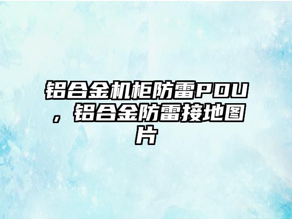 鋁合金機柜防雷PDU，鋁合金防雷接地圖片