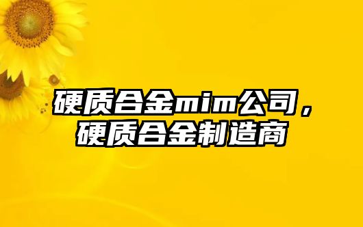 硬質(zhì)合金mim公司，硬質(zhì)合金制造商