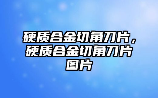 硬質(zhì)合金切角刀片，硬質(zhì)合金切角刀片圖片