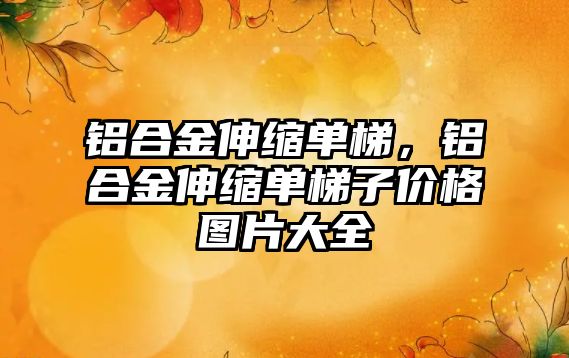 鋁合金伸縮單梯，鋁合金伸縮單梯子價(jià)格圖片大全