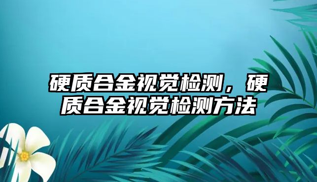 硬質合金視覺檢測，硬質合金視覺檢測方法