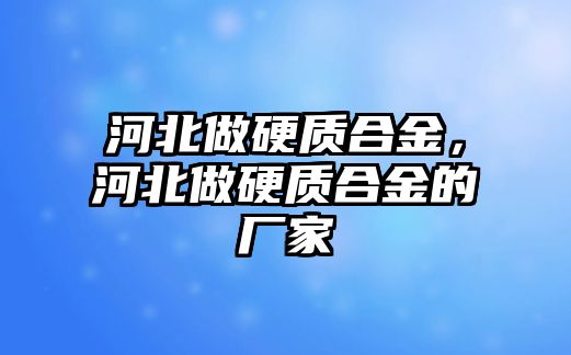 河北做硬質合金，河北做硬質合金的廠家