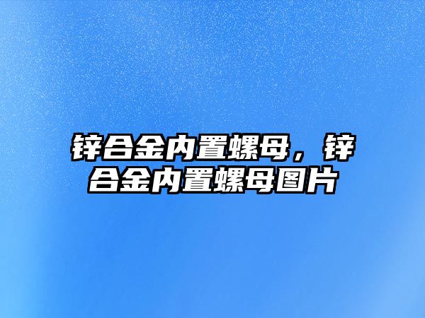 鋅合金內(nèi)置螺母，鋅合金內(nèi)置螺母圖片