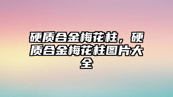 硬質合金梅花柱，硬質合金梅花柱圖片大全