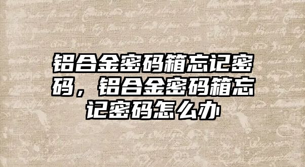 鋁合金密碼箱忘記密碼，鋁合金密碼箱忘記密碼怎么辦