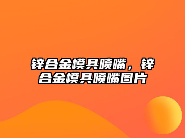 鋅合金模具噴嘴，鋅合金模具噴嘴圖片