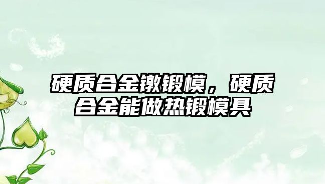 硬質(zhì)合金鐓鍛模，硬質(zhì)合金能做熱鍛模具