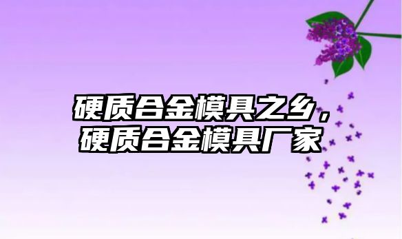 硬質(zhì)合金模具之鄉(xiāng)，硬質(zhì)合金模具廠家