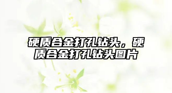 硬質(zhì)合金打孔鉆頭，硬質(zhì)合金打孔鉆頭圖片