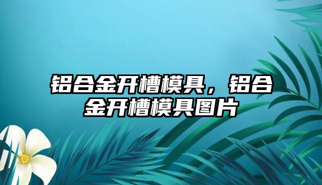 鋁合金開槽模具，鋁合金開槽模具圖片