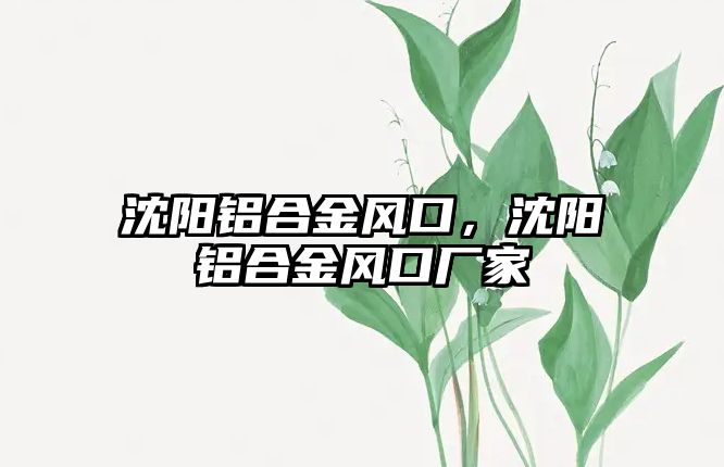 沈陽鋁合金風(fēng)口，沈陽鋁合金風(fēng)口廠家