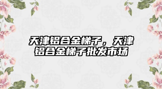 天津鋁合金梯子，天津鋁合金梯子批發(fā)市場