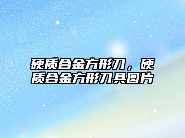 硬質(zhì)合金方形刀，硬質(zhì)合金方形刀具圖片