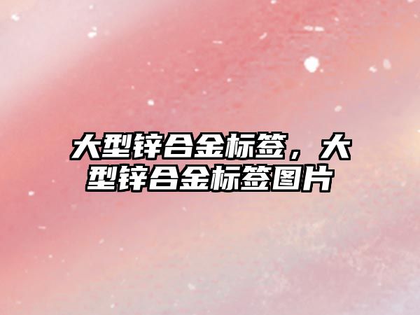 大型鋅合金標簽，大型鋅合金標簽圖片