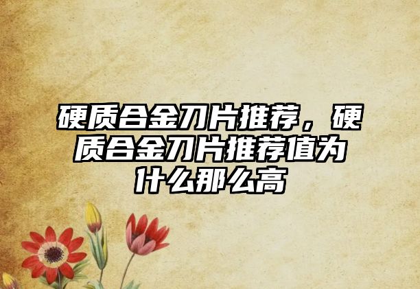 硬質(zhì)合金刀片推薦，硬質(zhì)合金刀片推薦值為什么那么高