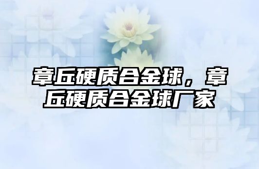 章丘硬質(zhì)合金球，章丘硬質(zhì)合金球廠家