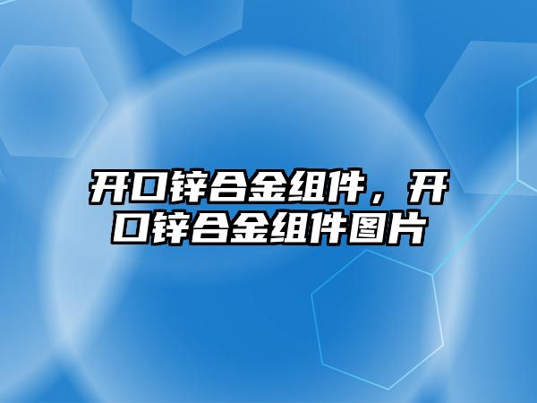 開口鋅合金組件，開口鋅合金組件圖片