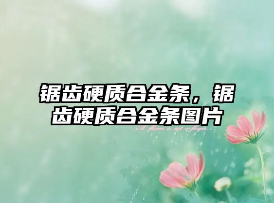 鋸齒硬質(zhì)合金條，鋸齒硬質(zhì)合金條圖片