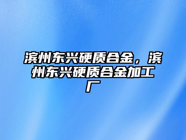 濱州東興硬質合金，濱州東興硬質合金加工廠