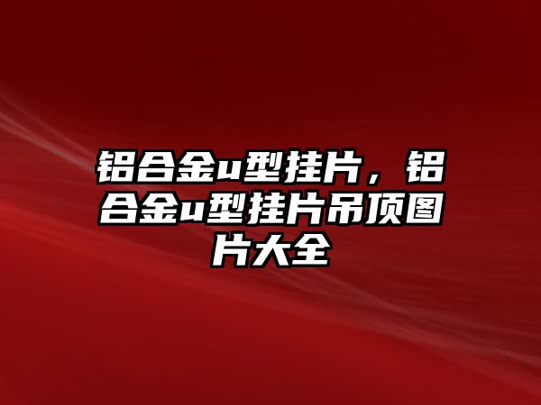 鋁合金u型掛片，鋁合金u型掛片吊頂圖片大全